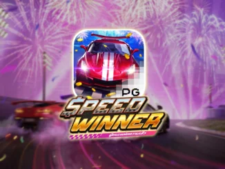 speed winner 6