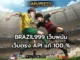 BRAZIL999 1